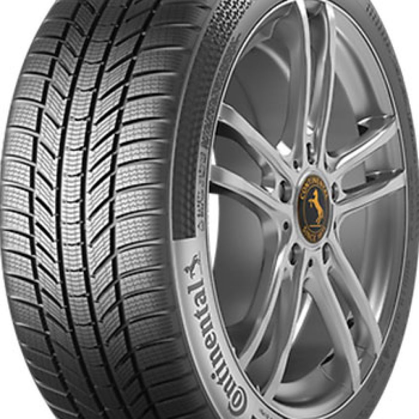 WinterContact TS 870 P 255/50-19 T