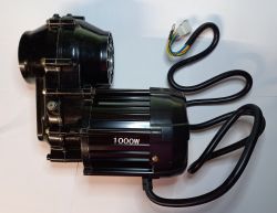 Kruiser Trike: Moottori 1000W