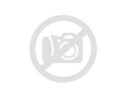 A1 Black Front Polish 8x19