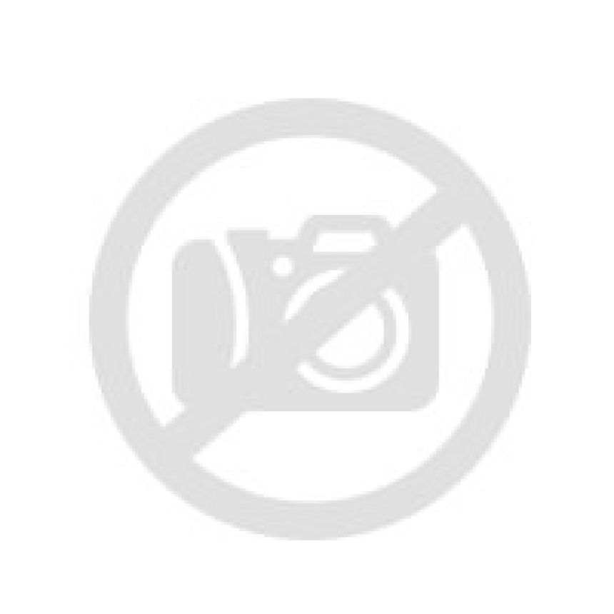 AllSeasonContact 2 Tyre - 255 35 19 96Y XL Extra Load EV 255/35-19 Y